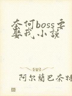 奈何boss要娶我小说
