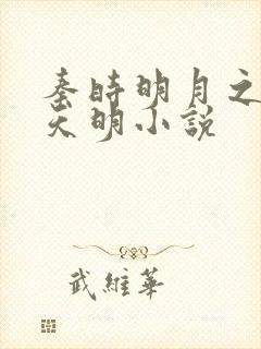 秦时明月之夜尽天明小说