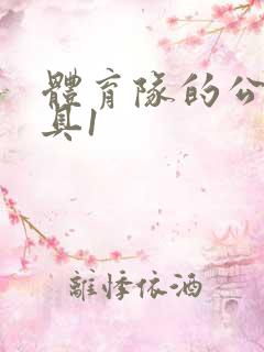 体育队的公用玩具1