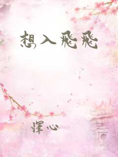 想入飞飞
