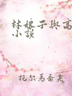 林娘子与高衙内小说
