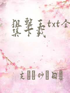 狙击王txt全集下载