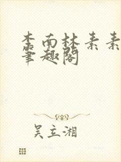 李南林素素小说笔趣阁