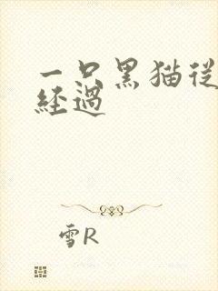 一只黑猫从眼前经过