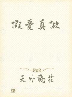 假爱真做