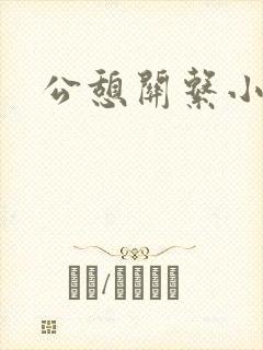 公憩关系小说