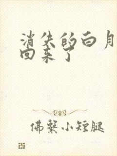 消失的白月光又回来了