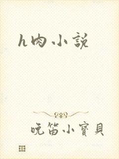h肉小说