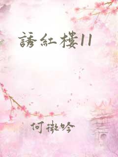 诱红楼11