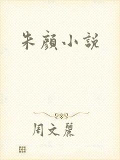朱颜小说