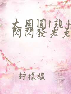 大团圆1亲情会闪闪发光免费