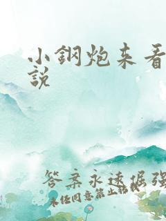 小钢炮来看我小说