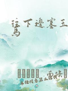 往下边塞玉器骑马