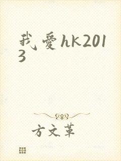 我爱hk2013
