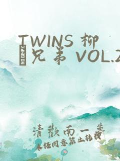TWINS 柳澤兄弟 VOL.2
