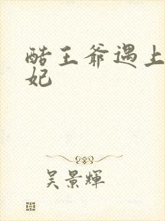 酷王爷遇上穿越妃