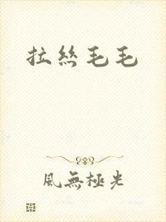拉丝毛毛