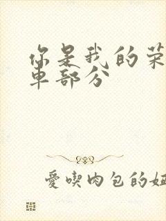 你是我的荣耀开车部分