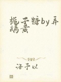 栀子糖by弄白鹅黄