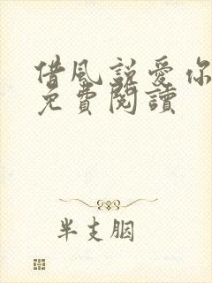 借风说爱你小说免费阅读