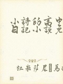 小诗的高中成长日记小说免费阅读