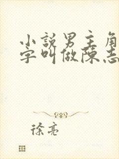 小说男主角的名字叫做陈志远