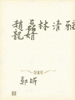 赵磊林清雅上门龙婿