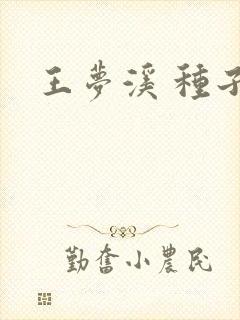 王梦溪 种子
