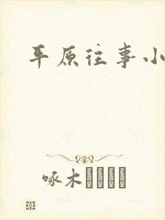 平原往事小说