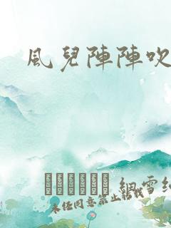 风儿阵阵吹