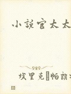 小说官太太