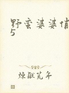 野蛮婆婆俏媳妇5