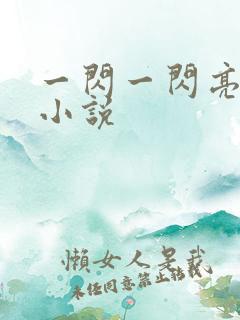 一闪一闪亮晶晶小说