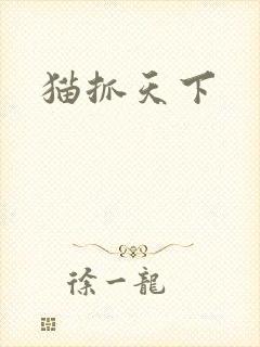 猫抓天下