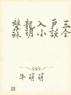 双龙入户三人行苏玥小说全文阅读