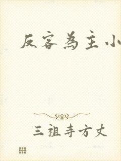 反客为主小说
