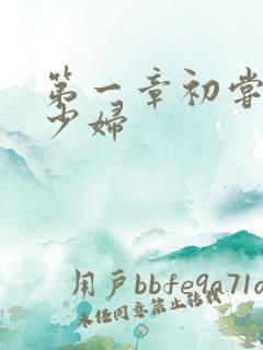 第一章初尝极品少妇