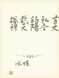 总裁的私有宝贝穆天阳全文阅读