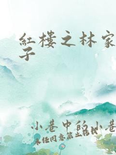 红楼之林家庶长子