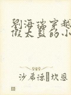 刘海瑞穿越后宫假太监的小说