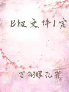 B级文件1完整