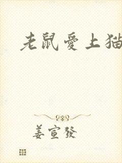 老鼠爱上猫下载