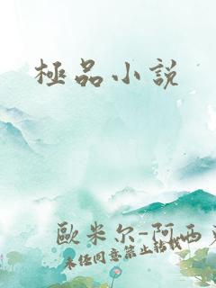极品小说