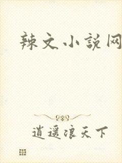 辣文小说网