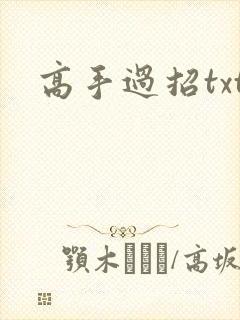 高手过招txt