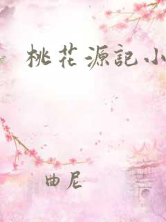 桃花源记小说