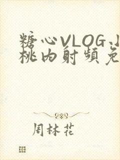 糖心VLOG小桃内射频免费