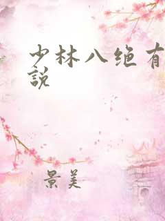 少林八绝有声小说