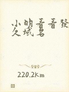 小明看看发布永久域名