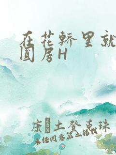 在花轿里就开始圆房H